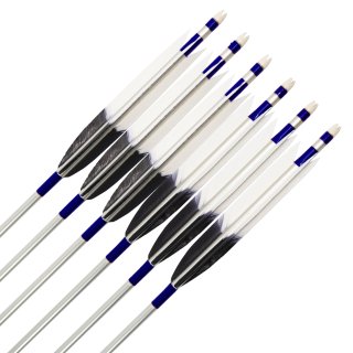 EASTON 1913  TKD-2221ξʲ