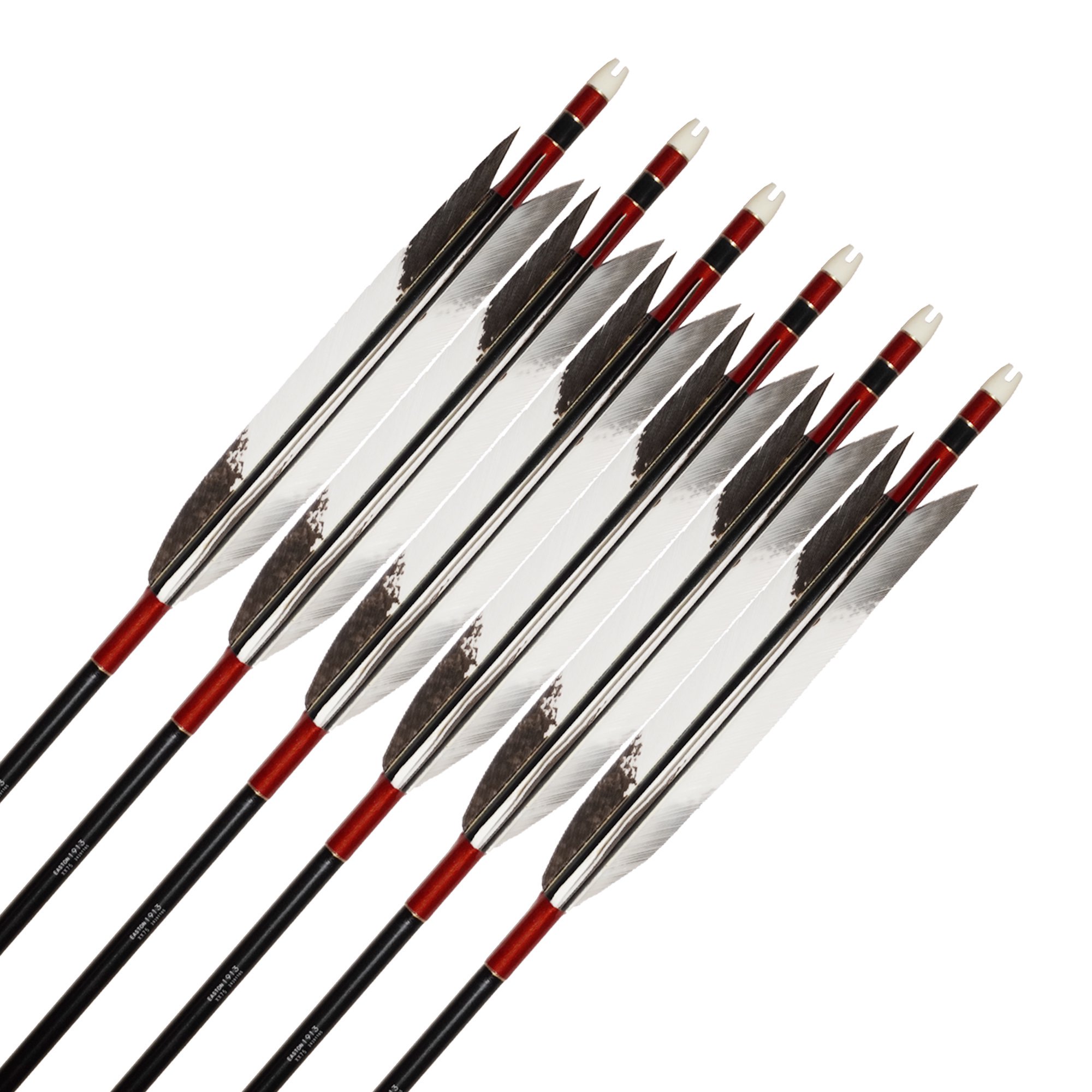 EASTON 1913  ٤ù() TKD-6568 ƻ1