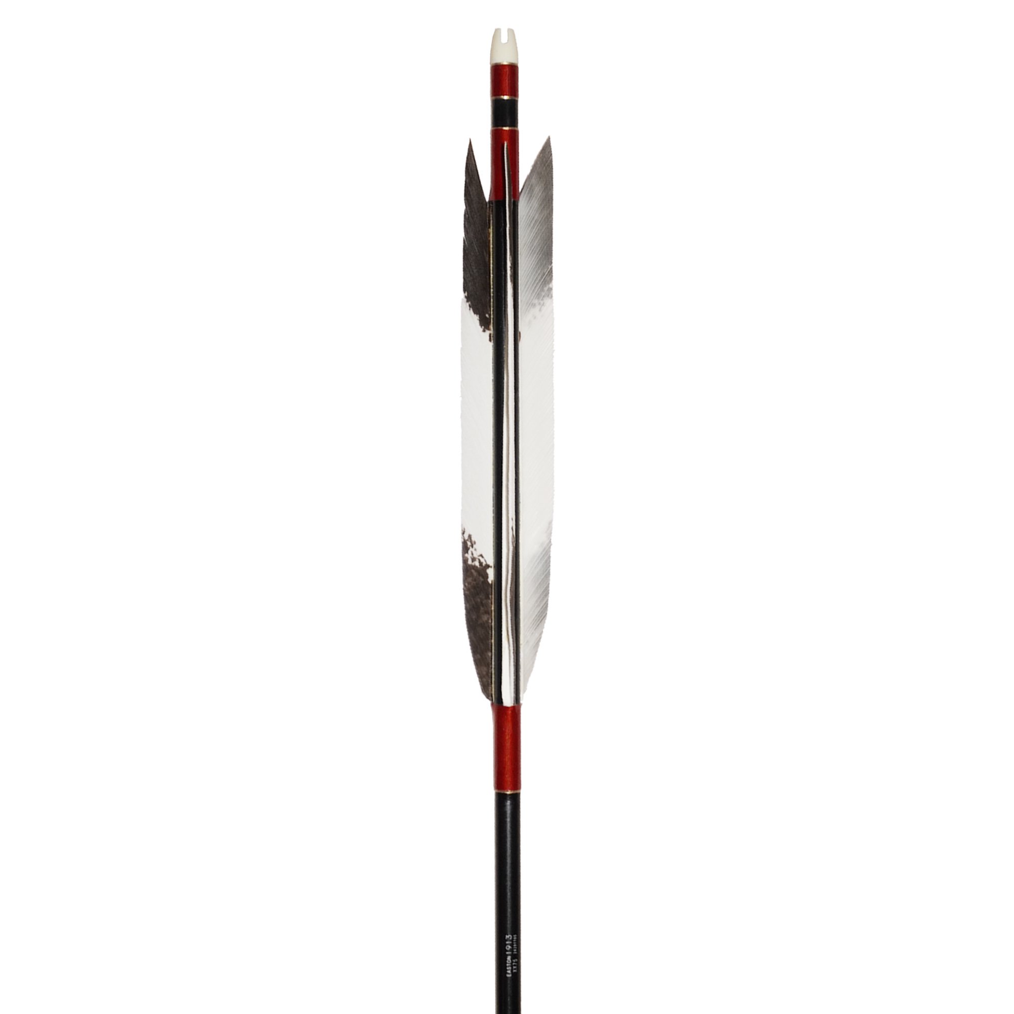 EASTON 1913  ٤ù() TKD-6568 ƻ2