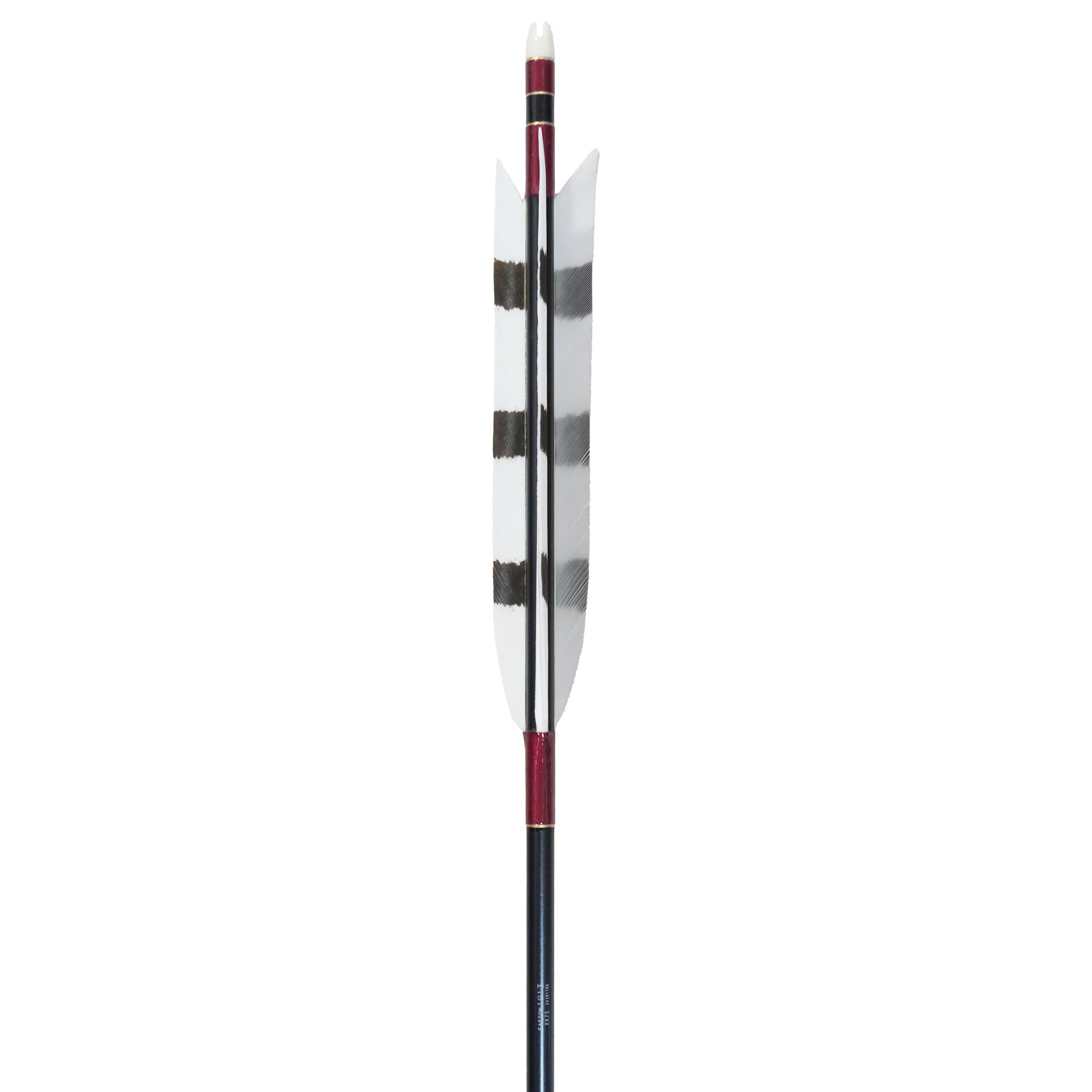 EASTON 1913  (Ϣ) TKD-7888 ƻ2