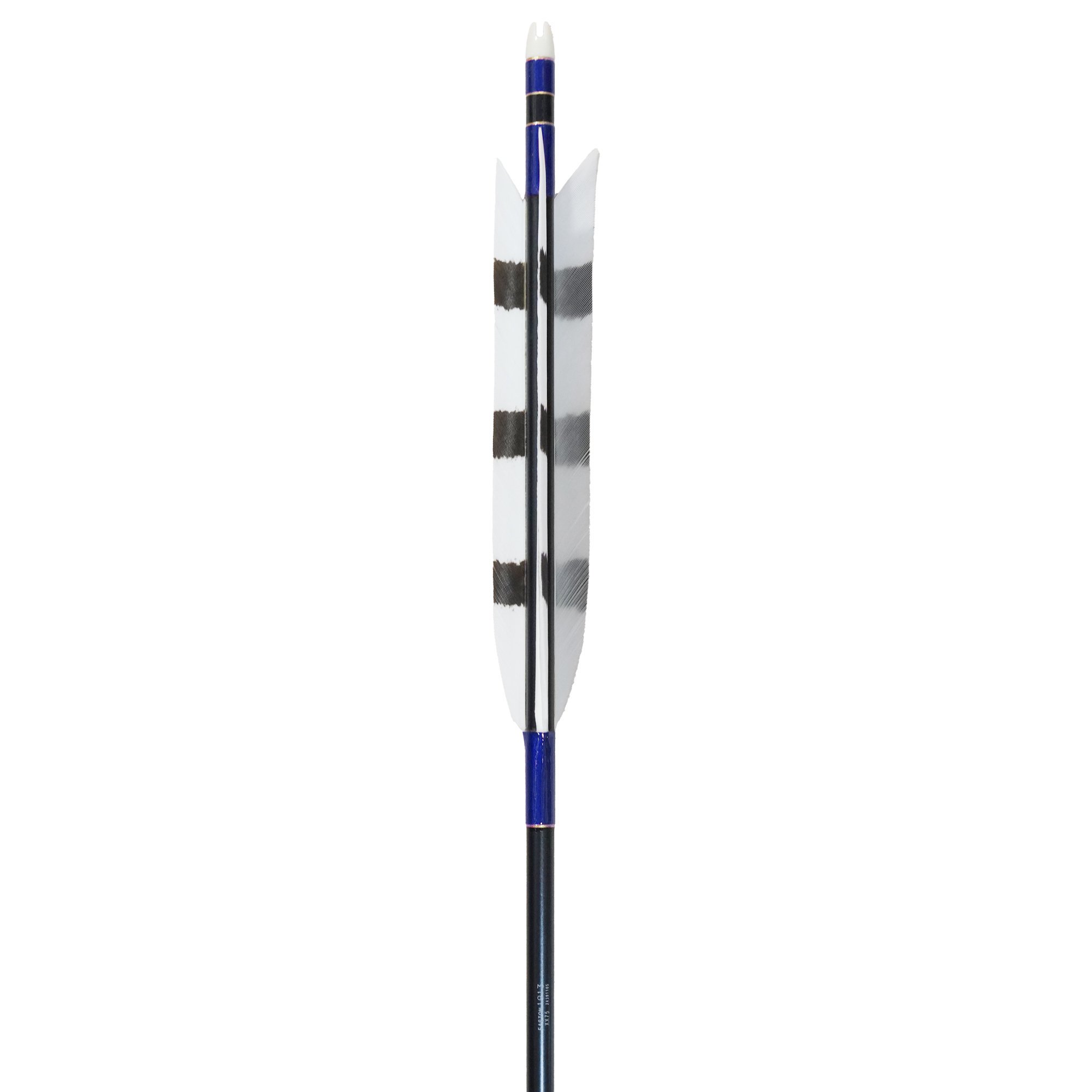 EASTON 1913  (Ϣ) TKD-7994 ƻ2