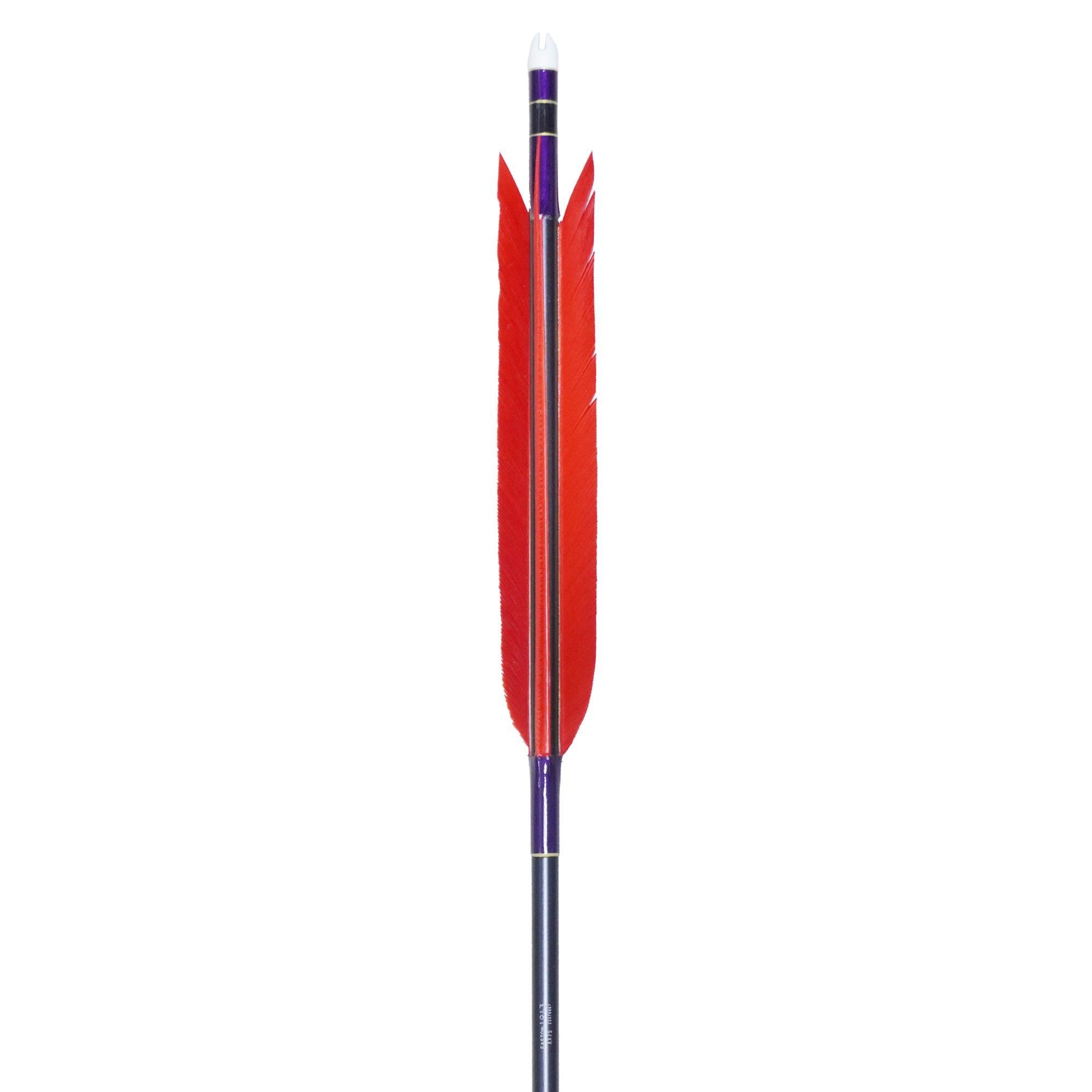 EASTON 1913  TKD-8805 ƻ2