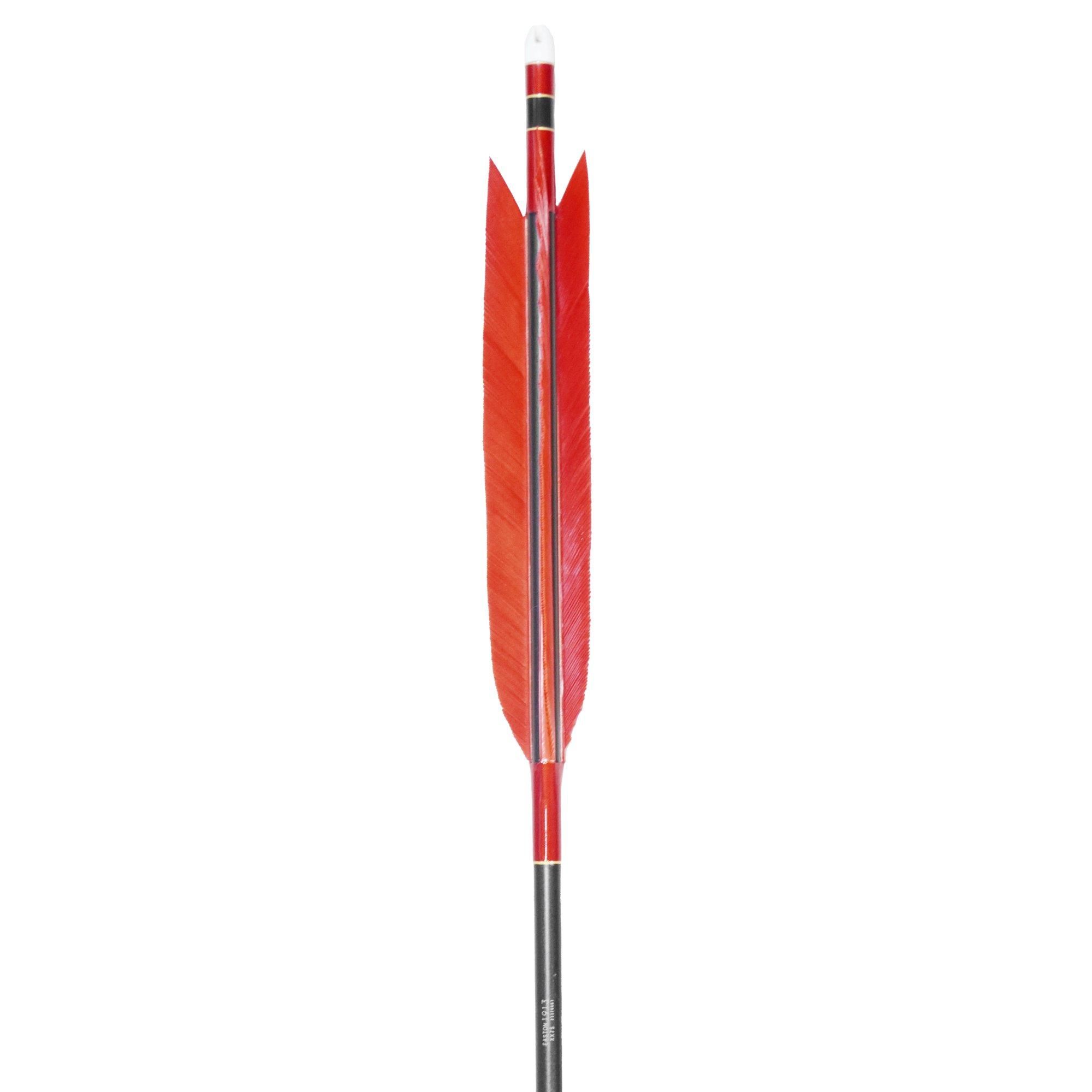 EASTON 1913  TKD-8810 ƻ2