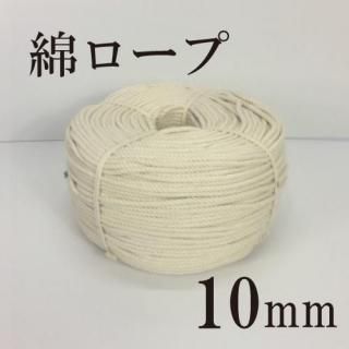 �ʥ����ס�10mm�ξ��ʲ���