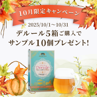 10Υڡ󡪡ۥǥ롼5ȢåȤǥץ10ĥץ쥼ȡ