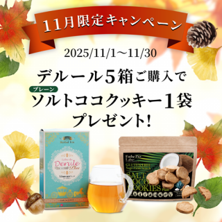 11Υڡ󡪡ۥǥ롼5ȢåȤǥȥå1ĥץ쥼ȡ