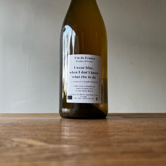 I wear Blue, if I don't know what else to do  2017 / Anders Frederik Steen ������������ե�ǥ�å������ƥ�����