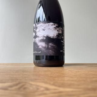 Love will tear us apart  2021  / Les Valseuses (Antoine Le Court ȥ  )