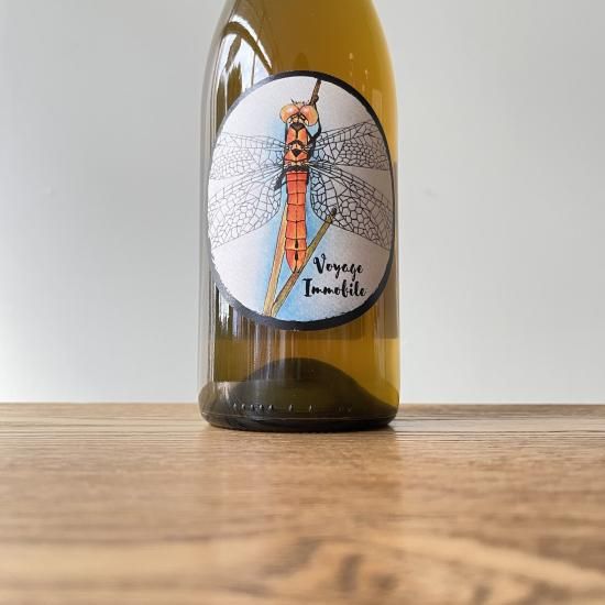 �����䡼���塦�����ӥ� 2023 Voyage Immobile / �������⥢�ڥ��륨�ࡦ����ꥪ����ߡ��ȥޡ� Oxymore��Guilhem Henriot��Remi Thomas��