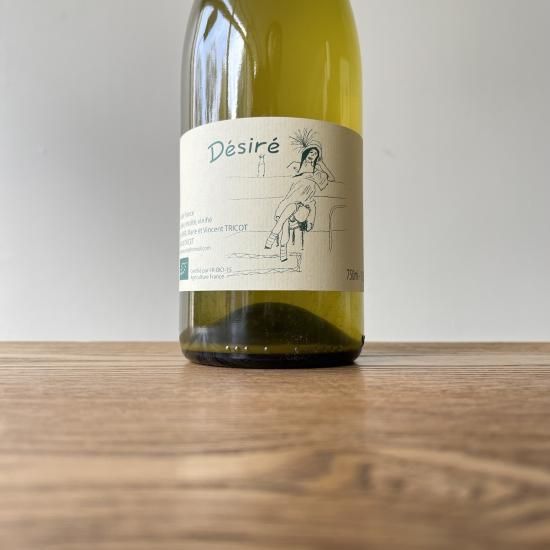 �ǥ��� 2023 Desire / �����󥵥� �ȥꥳ Vincent Tricot 