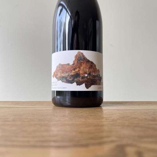 �����˥她 2023 Venus / �ե�󥽥�ǥ�� Francois Dhumes