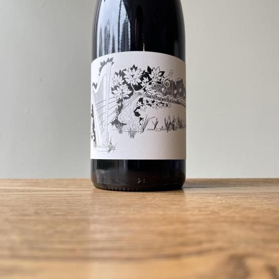 �֥��塼��  NV(2023) Bouture / �ꥷ�㡼�� �� ������� ������ Richard et Laurent Kien  