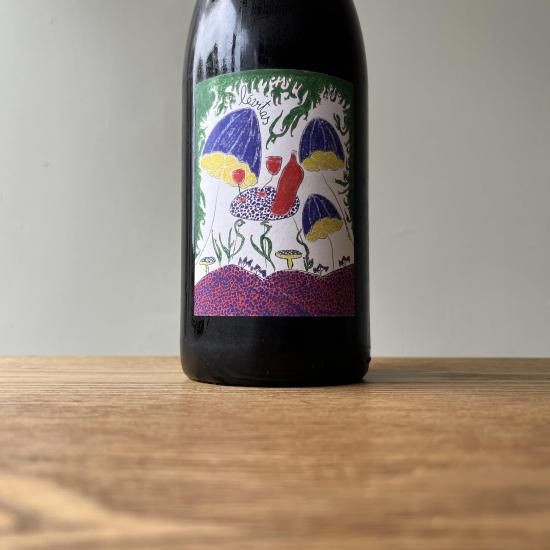 ������� 2023 Levitas / ��ߡ��ǥ�ե����ȥ� Remi Dufaitre