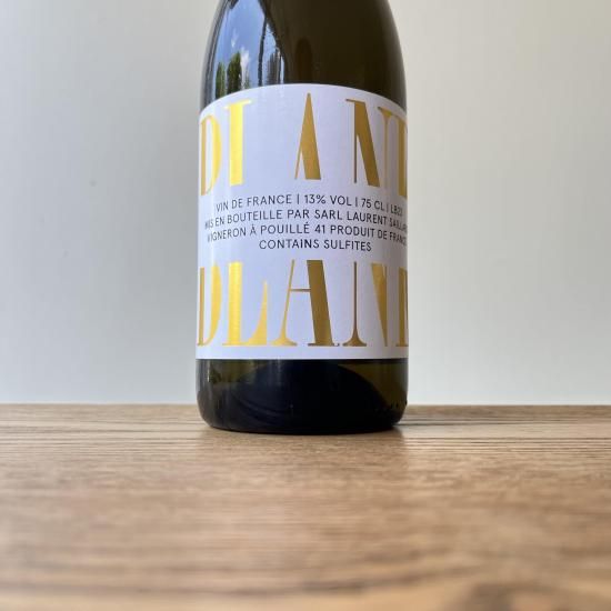 �֥�� 2023 Blank  / ������󡦥����䡼�� Laurent SAILLARD