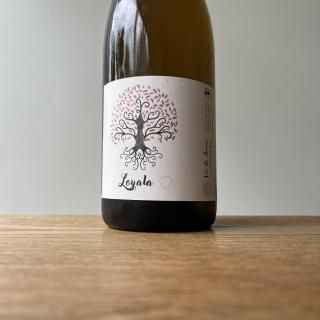 Louis Julian ルイ・ジュリアン - wineshop TAI