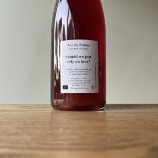 ɥ㥹ȡ饤󡦥å  2022 / եǥåƥ Anders Frederik Steen 