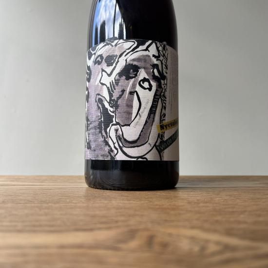 �˥������� 2019 Nyctalopie / ���˥��롦�������� Daniel Sage