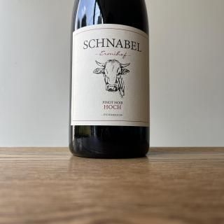 ԥΥΥ ۥåۥå 2022 Pinot Noir Hochegg / ʡ٥ Schnabel