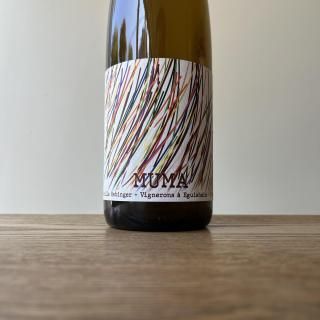 ߥ塼  2024 MUMA  / եߡ桦Х󥸥 Famille Hebinger 