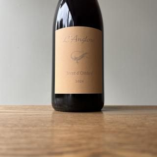 �ơ��롦�ɥ�֥� 2024 Terre d'ombre / ��󥰥����� L'anglore 