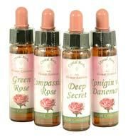 �ڥ�ǥ����������� [Perdita Rose]