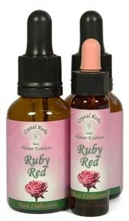 ��ӡ���åɥ����� [Ruby Red Rose]