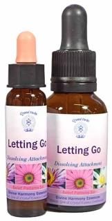 ��åƥ��󥰥��� [Letting Go]