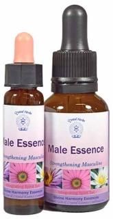 ᡼륨å [Male Essence]