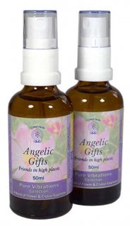 󥸥åեȡŷȤ£ʪ [Angelic Gifts]