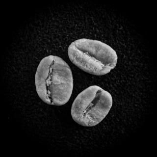 ジャマイカ ブルーマウンテン | 最高品種のコーヒー豆 | 200g - Mameya