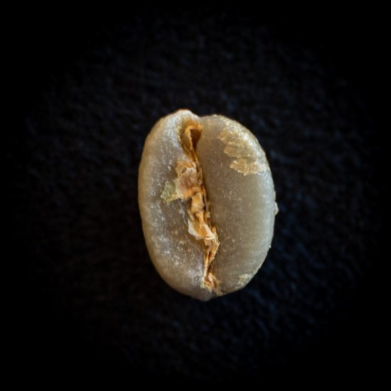 エチオピア モカシダモ | コーヒー発祥エチオピアコーヒー、柑橘系の