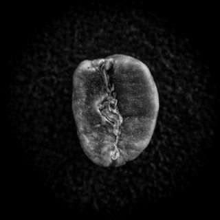 ジャマイカ ブルーマウンテン | 最高品種のコーヒー豆 | 200g - Mameya