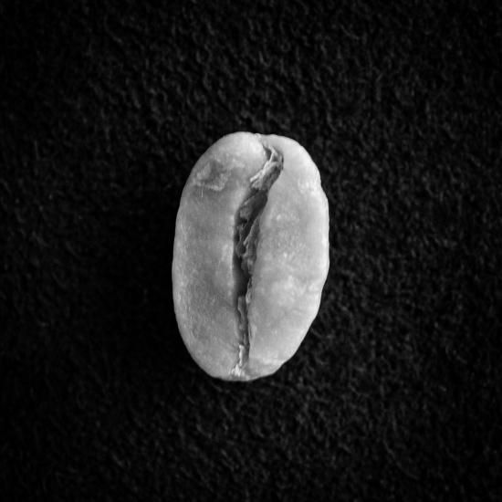 ルワンダ スカイヒル コプロカ | コーヒー豆 - Yokohama Mameya