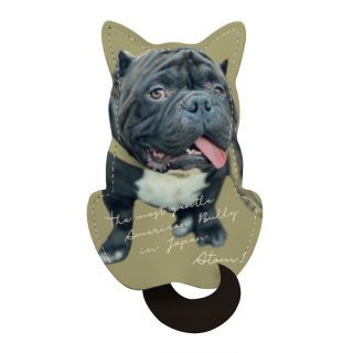 Ϥ ܳץꥸʥ륰åְȥץǥߥڥå äݥ顼֥å