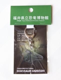 グッズ - FPDM MUSEUM SHOP 福井県立恐竜博物館ミュージアムショップ