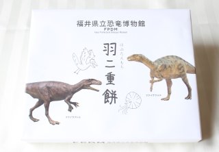 <img class='new_mark_img1' src='https://img.shop-pro.jp/img/new/icons5.gif' style='border:none;display:inline;margin:0px;padding:0px;width:auto;' />福井県立恐竜博物館オリジナル　羽二重餅2色詰合