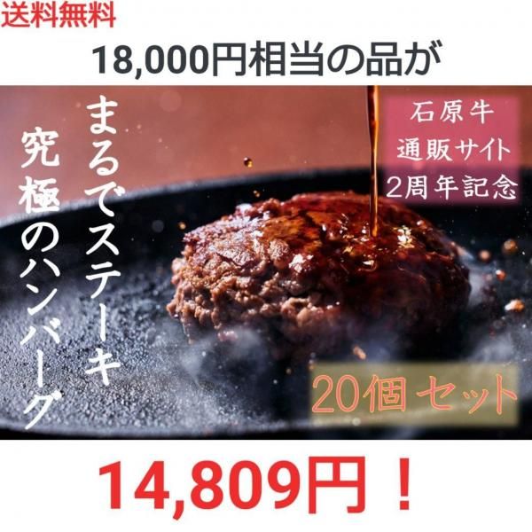 14,809(и)ߥåȡۢ18,000<BR/>ޤǥơ ˤΥϥС<BR/>(ǹA5100 ơϥС150g 1)20ĥåȡդ