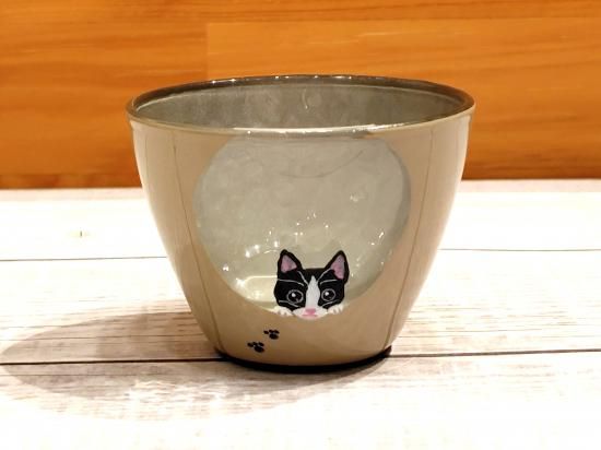 �ϥ����ǭ�Τ�����饹 ���ե�����ߥ���С��� �ߥ˥��饹�ξ��ʲ���