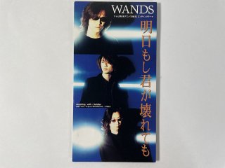 WANDS / ⤷Ƥ 8cm 󥰥