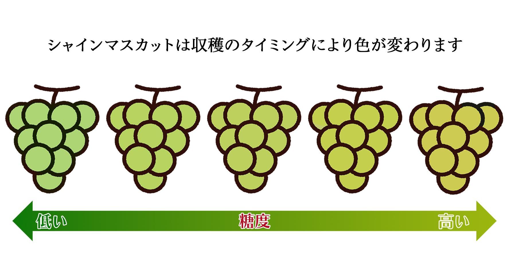 㥤ޥåȤοȴŤߤδط