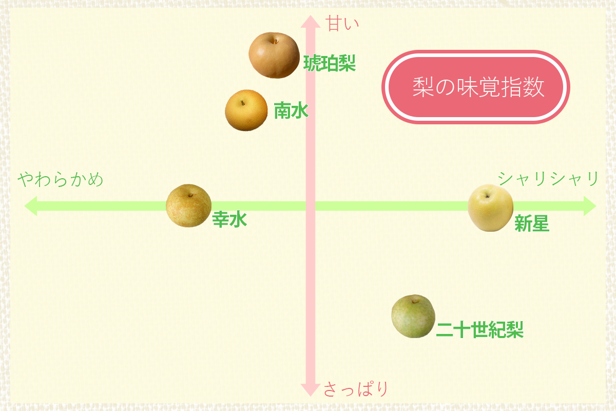 ̣лؿ