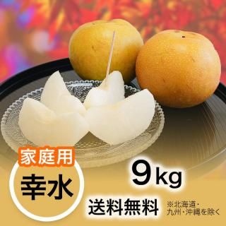 ☆Ｔ9☆贈答用　幸水　10キロ 贈答用】梨 幸水 9kg | YazawaFarm公式オンラインショップ