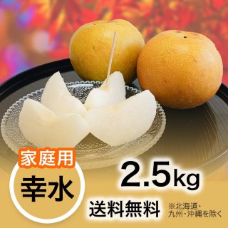 2024ǯ ڲѡ  2.5kg ̵(̳ƻ彣)