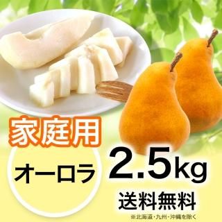 贈答用】干し柿(市田柿) 化粧箱入 1.2kg | YazawaFarm公式
