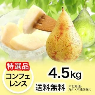 洋梨✨ 特選品】西洋梨 コンフェレンス 4.5kg | YazawaFarm公式オンラインショップ