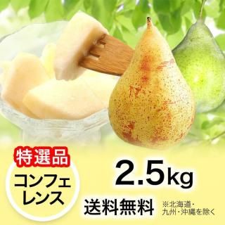 2025ǯ ʡ ե 2.5kg ̵(̳ƻ彣)