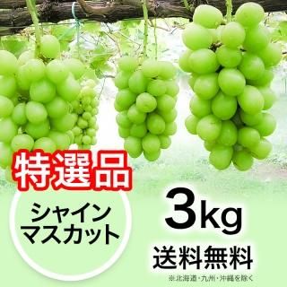 家庭用】ぶどう シャインマスカット 3kg | YazawaFarm公式