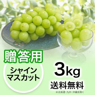 贈答用】ぶどう シャインマスカット 1kg | YazawaFarm公式