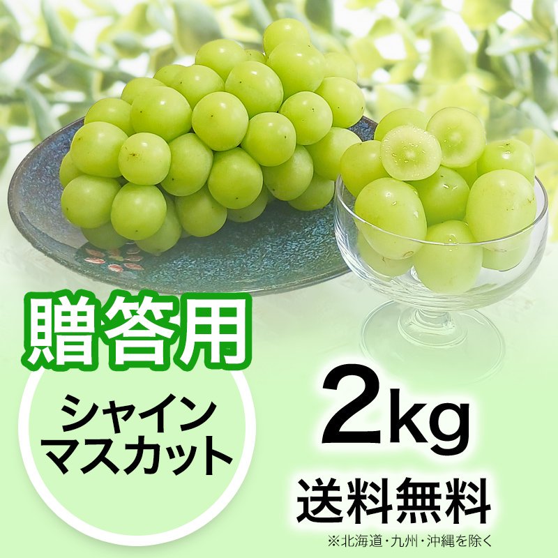 贈答用】ぶどう シャインマスカット 2kg | YazawaFarm公式オンライン