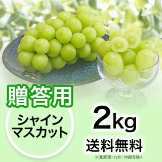 贈答用】ぶどう シャインマスカット 2kg | YazawaFarm公式オンラインショップ